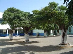 ORAN AOUT 2007 ecole paul bert 3